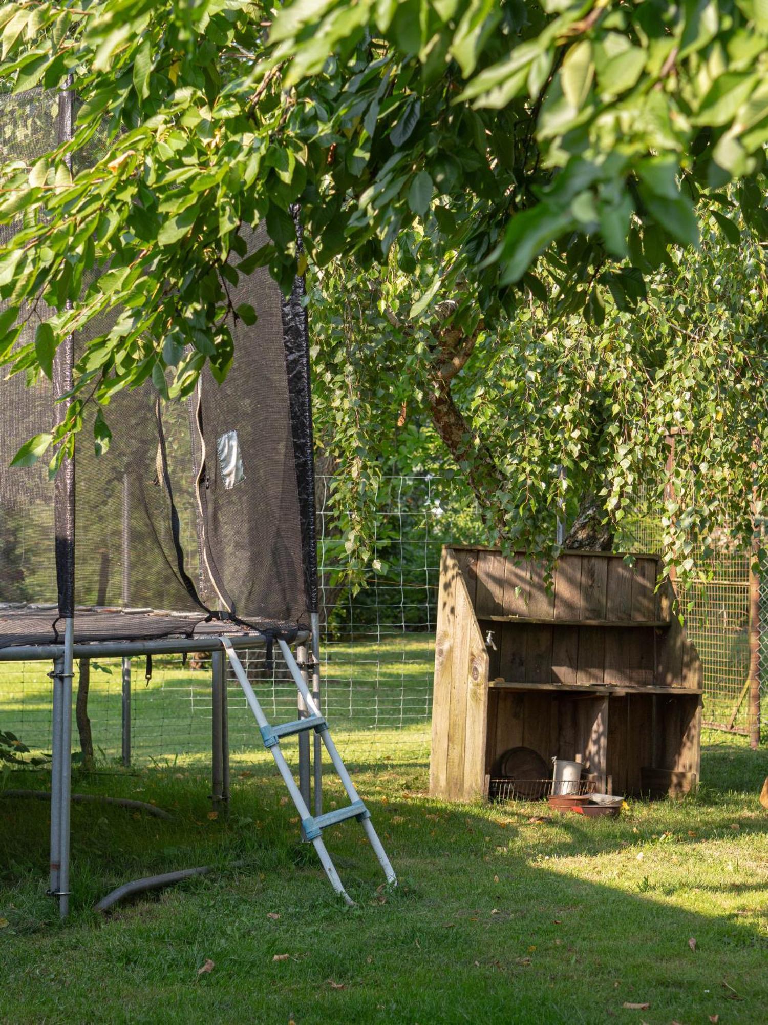 Bahlens-schur * Friedland (Brandenburg)